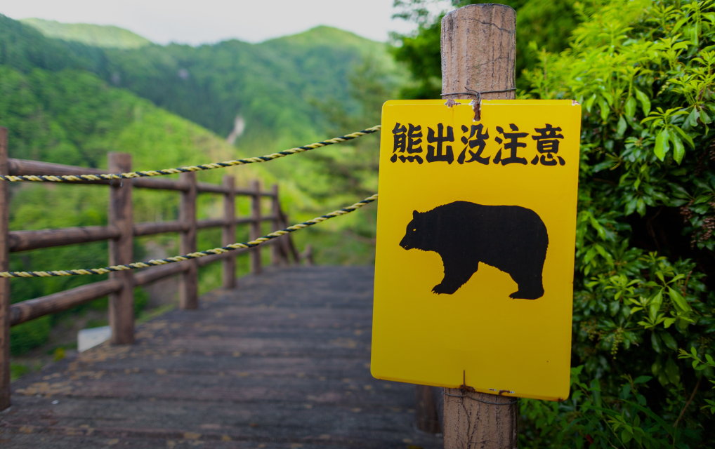 緊急銃猟時補償費用保険